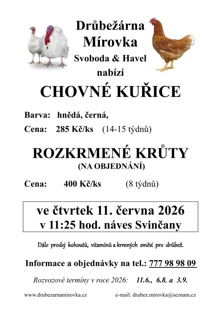 prodej kuřic a krůt